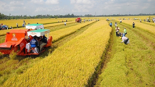 Sẵn sàng đảm bảo lương thực, thực phẩm cho nội địa và xuất khẩu