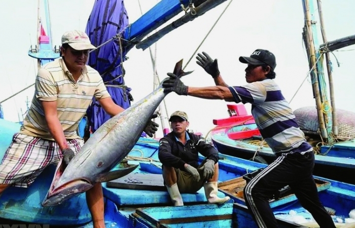 Tăng tốc gỡ “thẻ vàng” IUU tháo “nút thắt” xuất khẩu hải sản sang EU