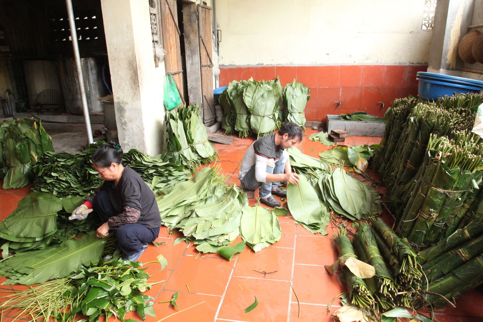 dam da huong vi banh chung tranh khuc