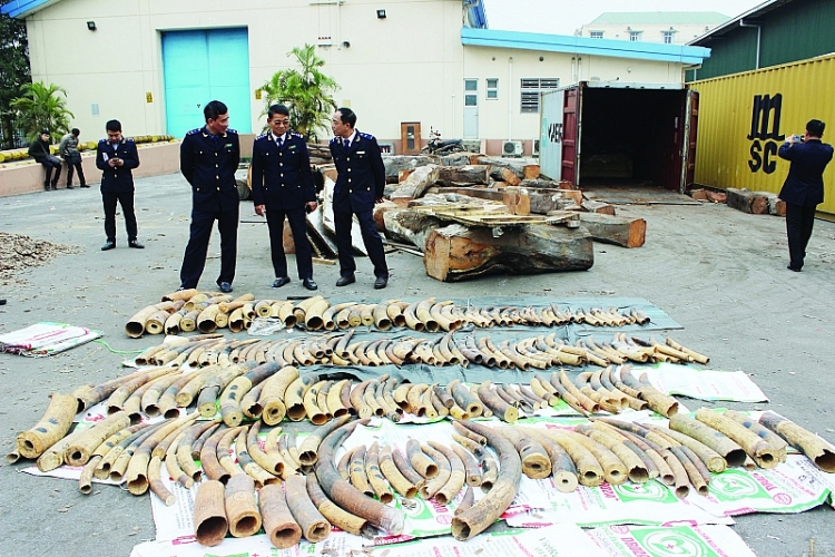 chien cong dau nam cua cuc hai quan hai phong