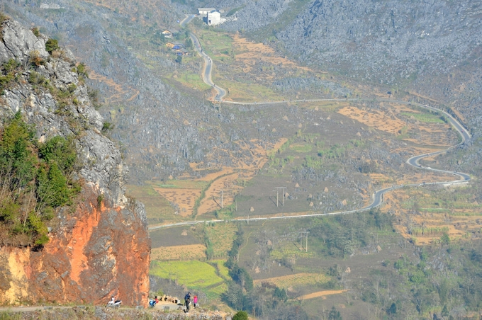 hoa dao man no muon tren ha giang