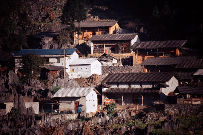 hoa dao man no muon tren ha giang