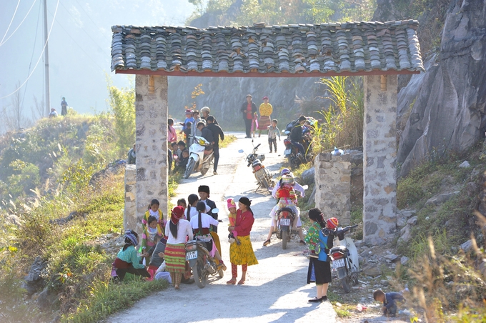 hoa dao man no muon tren ha giang