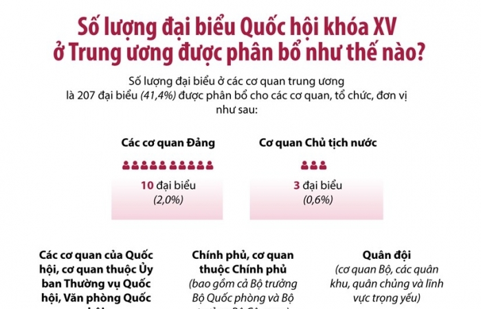 Số lượng đại biểu Quốc hội khóa XV ở Trung ương được phân bổ như thế nào?