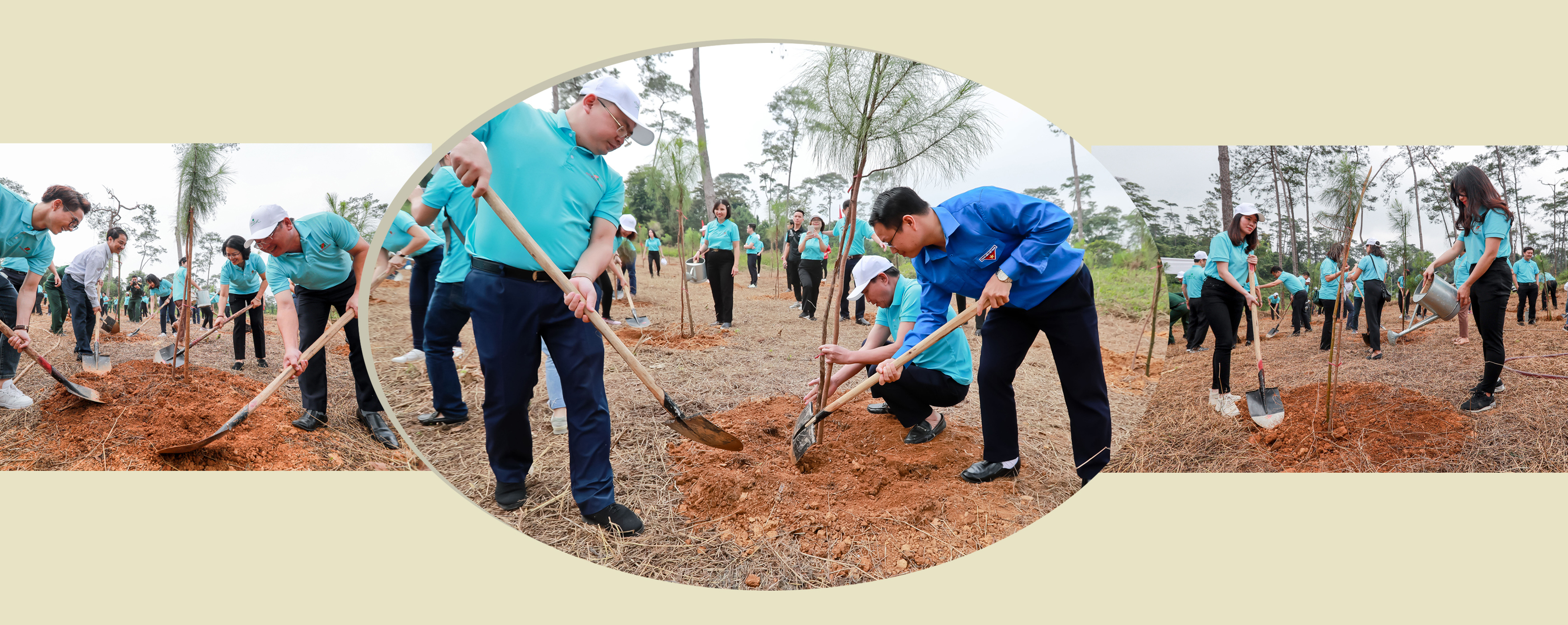 Trồng cây xanh - Mệnh lệnh từ trái tim