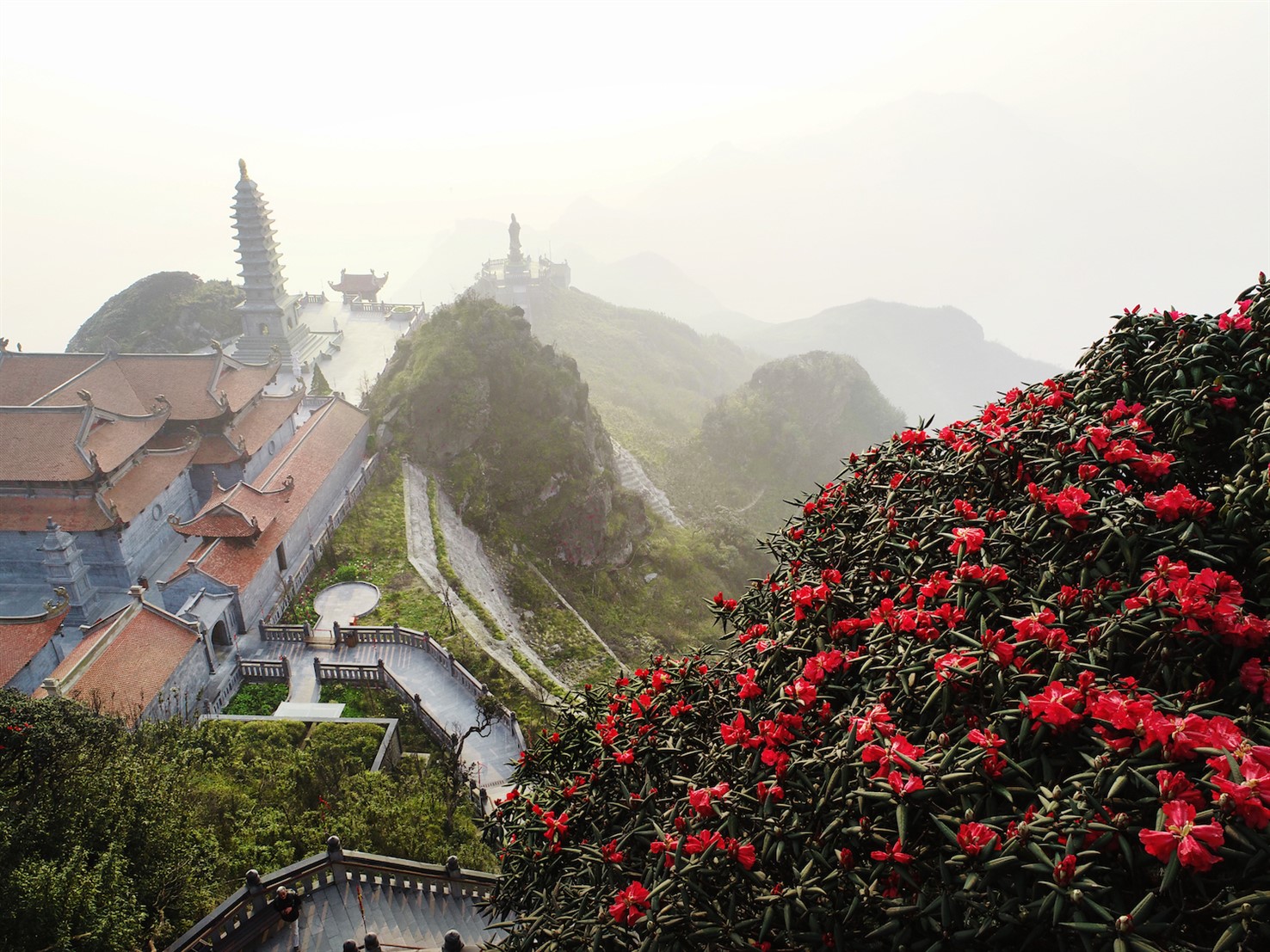 quen loi ve trong le hoi hoa do quyen co mot khong hai tai fansipan