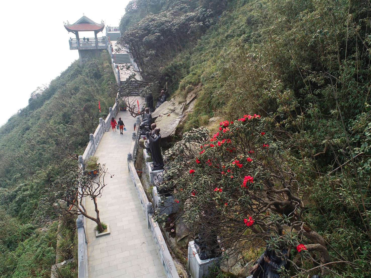 quen loi ve trong le hoi hoa do quyen co mot khong hai tai fansipan