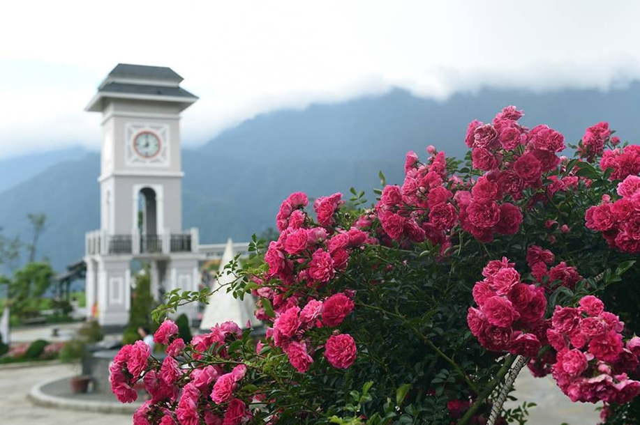 quen loi ve trong le hoi hoa do quyen co mot khong hai tai fansipan