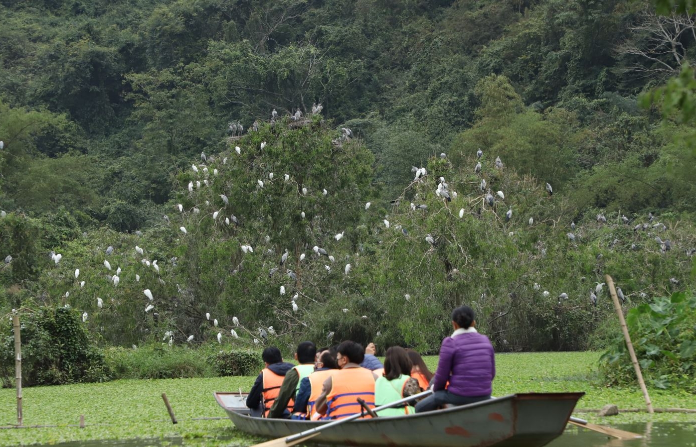 Thung Nham nơi “đất lành - chim đậu”