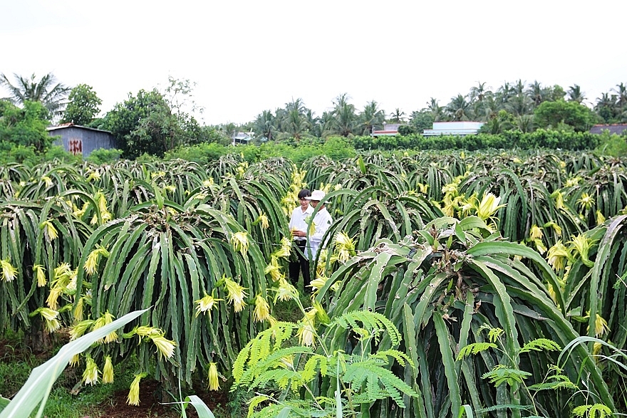 Agribank: Tự hào góp thêm trang sử vẻ vang 70 năm Ngân hàng Việt Nam