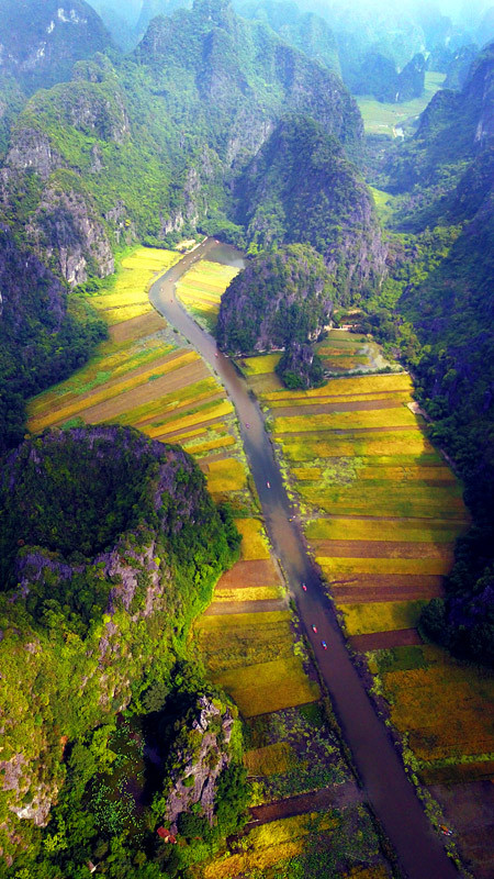 thu tron mua vang tam coc tu dinh hang mua