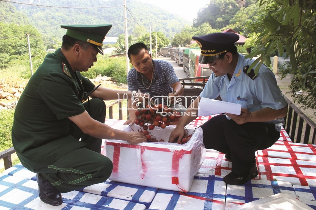 vai thieu tap nap xuat khau qua cua khau tan thanh