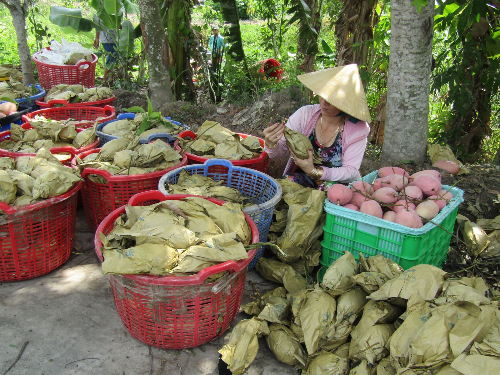 tet doan ngo lai ghe con my phuoc