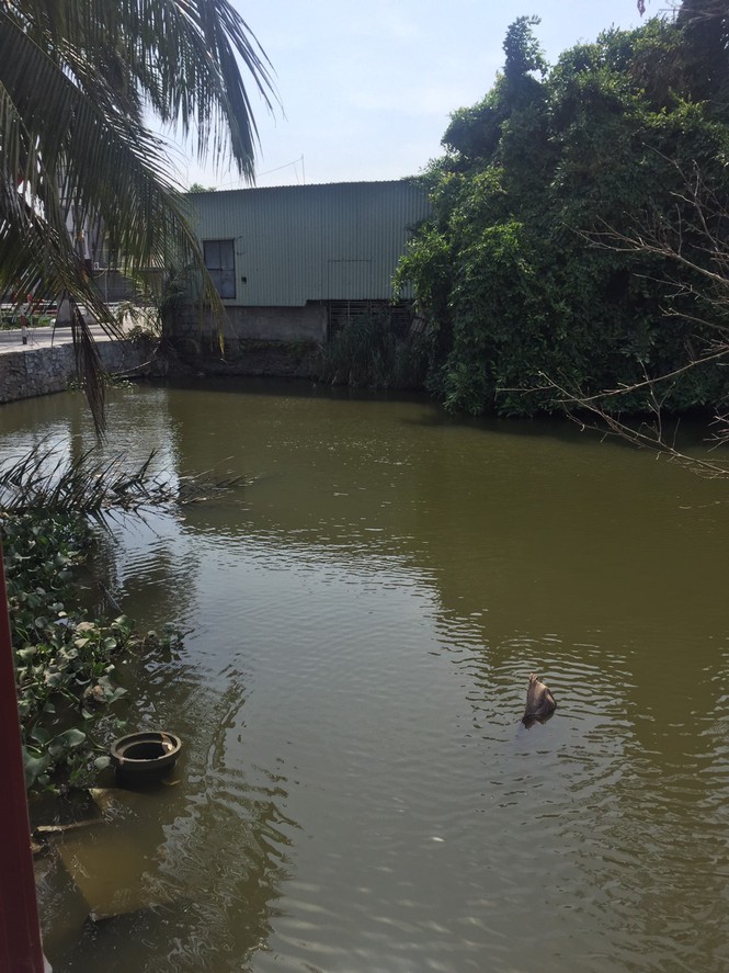 hai phong thu hoi toan bo nuoc dong chai hoa phep tu muong nuoc thai