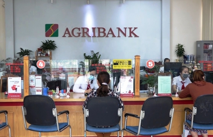 Agribank tiếp sức hộ sản xuất, doanh nghiệp vững tin vượt qua đại dịch