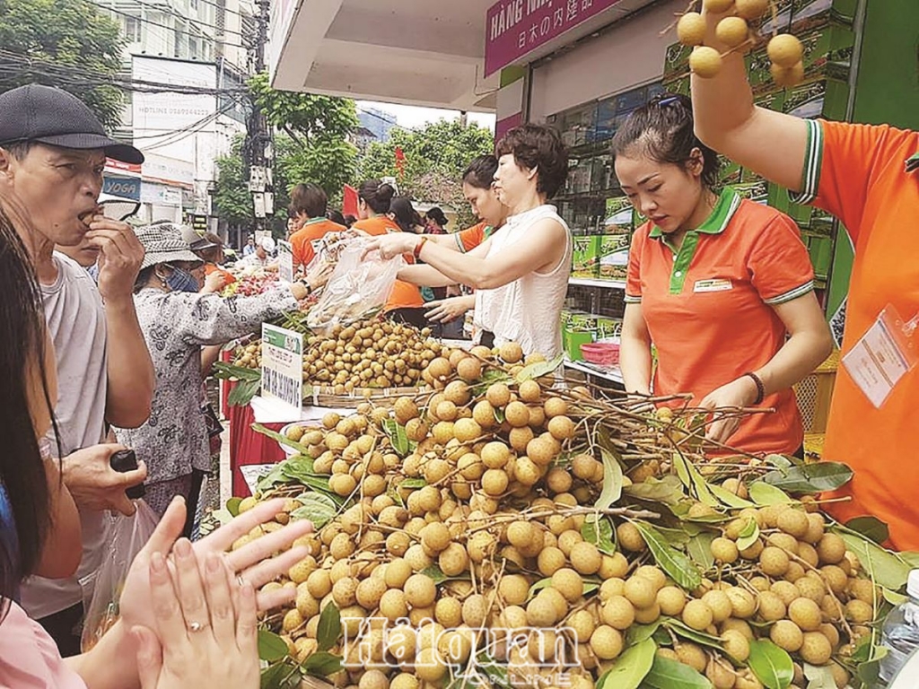 Xuất khẩu sang Trung Quốc:  Cần thay đổi để bền vững