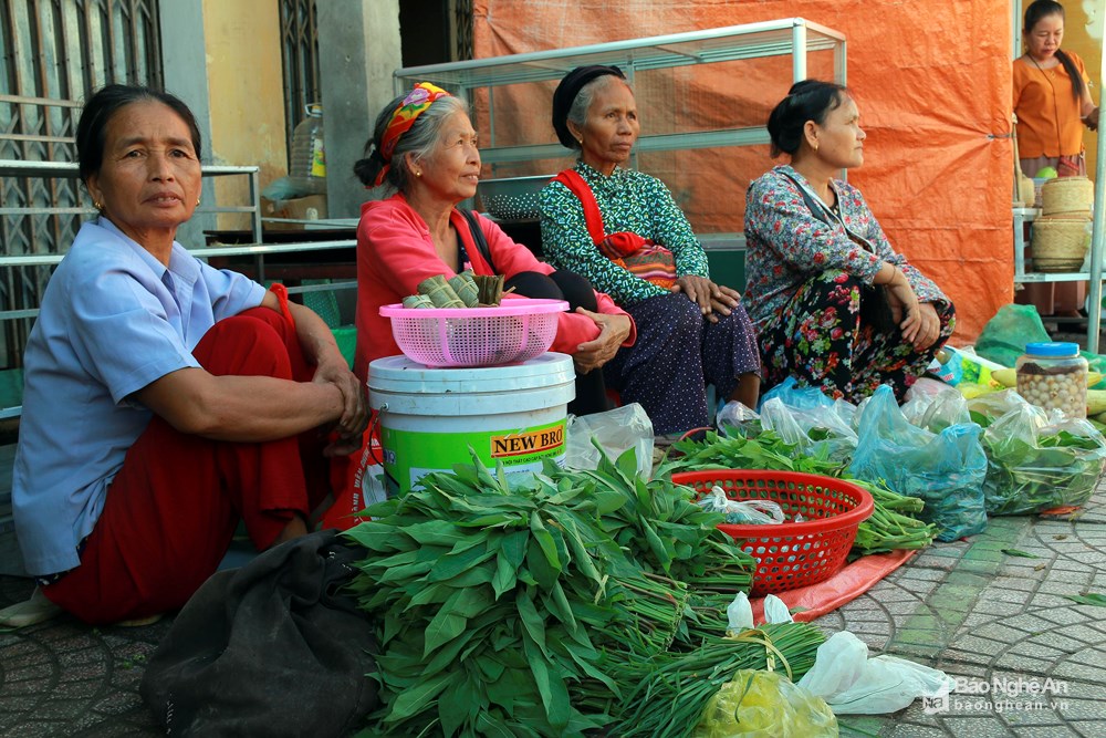 trai nghiem cho phien vung cao tuong duong voi cac loai rau cu doc dao