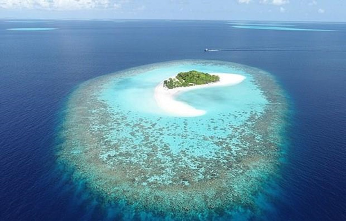 Đảo san hô ở Maldives. (Nguồn: dailymail.co.uk)