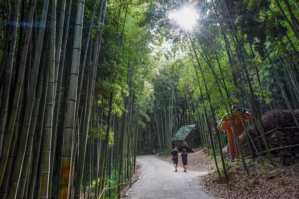 10 diem den hap dan ban nen ghe tham o tinh jeolla nam, han quoc hinh 1