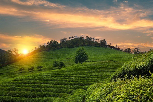 10 diem den hap dan ban nen ghe tham o tinh jeolla nam, han quoc hinh 5