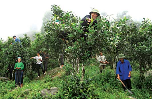 Lên đại ngàn khám phá thác Bạc Sông Lẫm