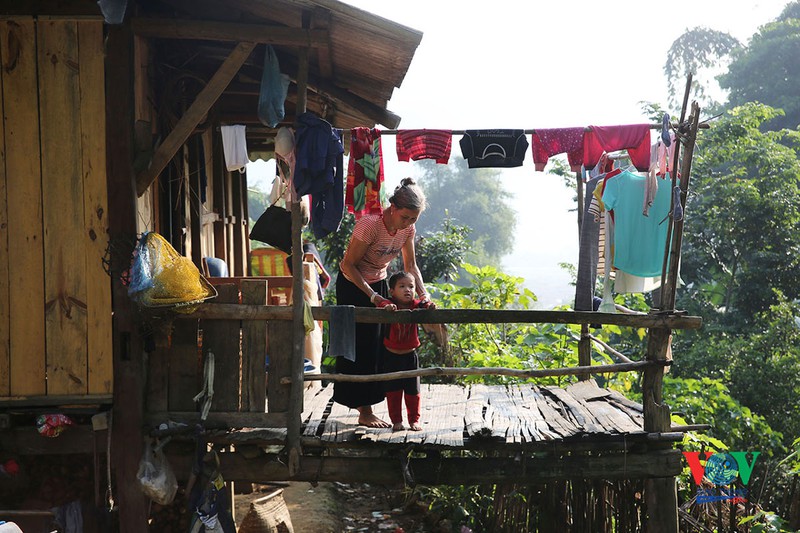 vung cao yen bai vao mua vang mua dep nhat trong nam