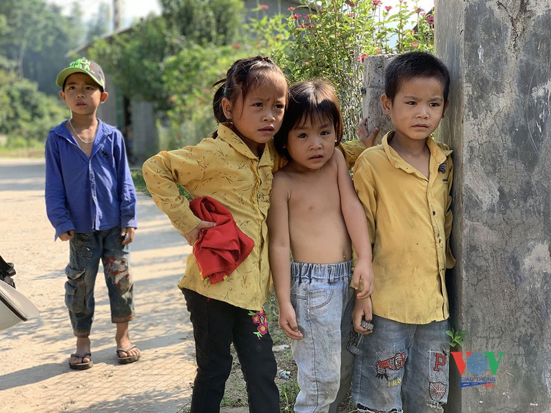 vung cao yen bai vao mua vang mua dep nhat trong nam