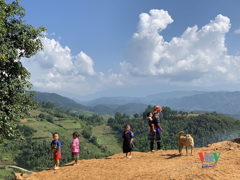 vung cao yen bai vao mua vang mua dep nhat trong nam