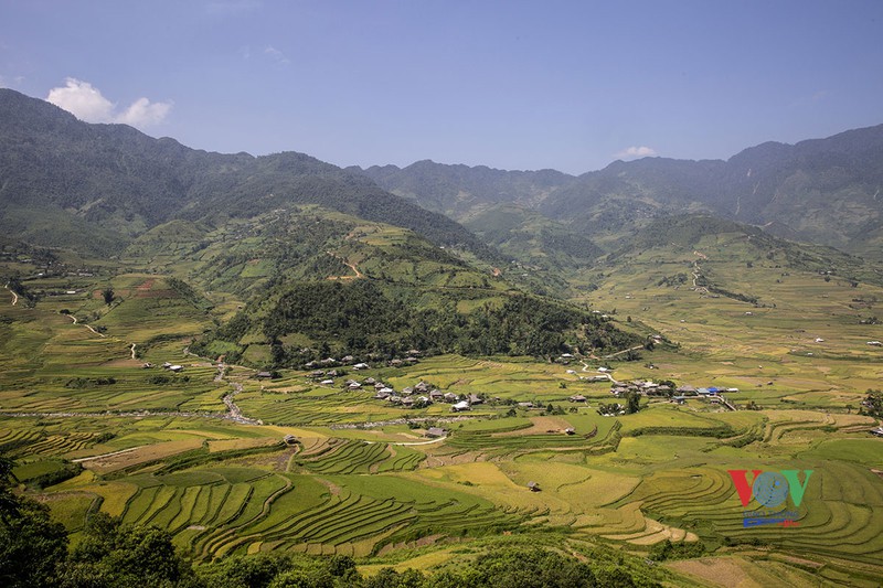 vung cao yen bai vao mua vang mua dep nhat trong nam