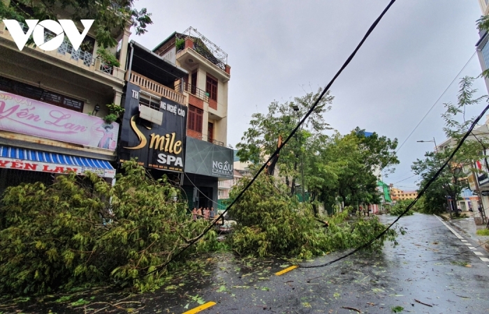 Bão số 5 đổ bộ, Thừa Thiên - Huế tan hoang, cây đổ ngổn ngang