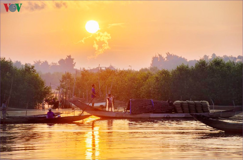 dam quang loi diem den thu vi cua pha tam giang