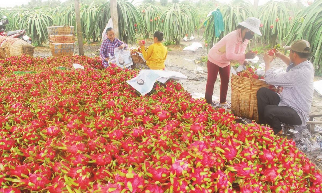 uu tien ho tro xuat khau nong san giua bao virus corona