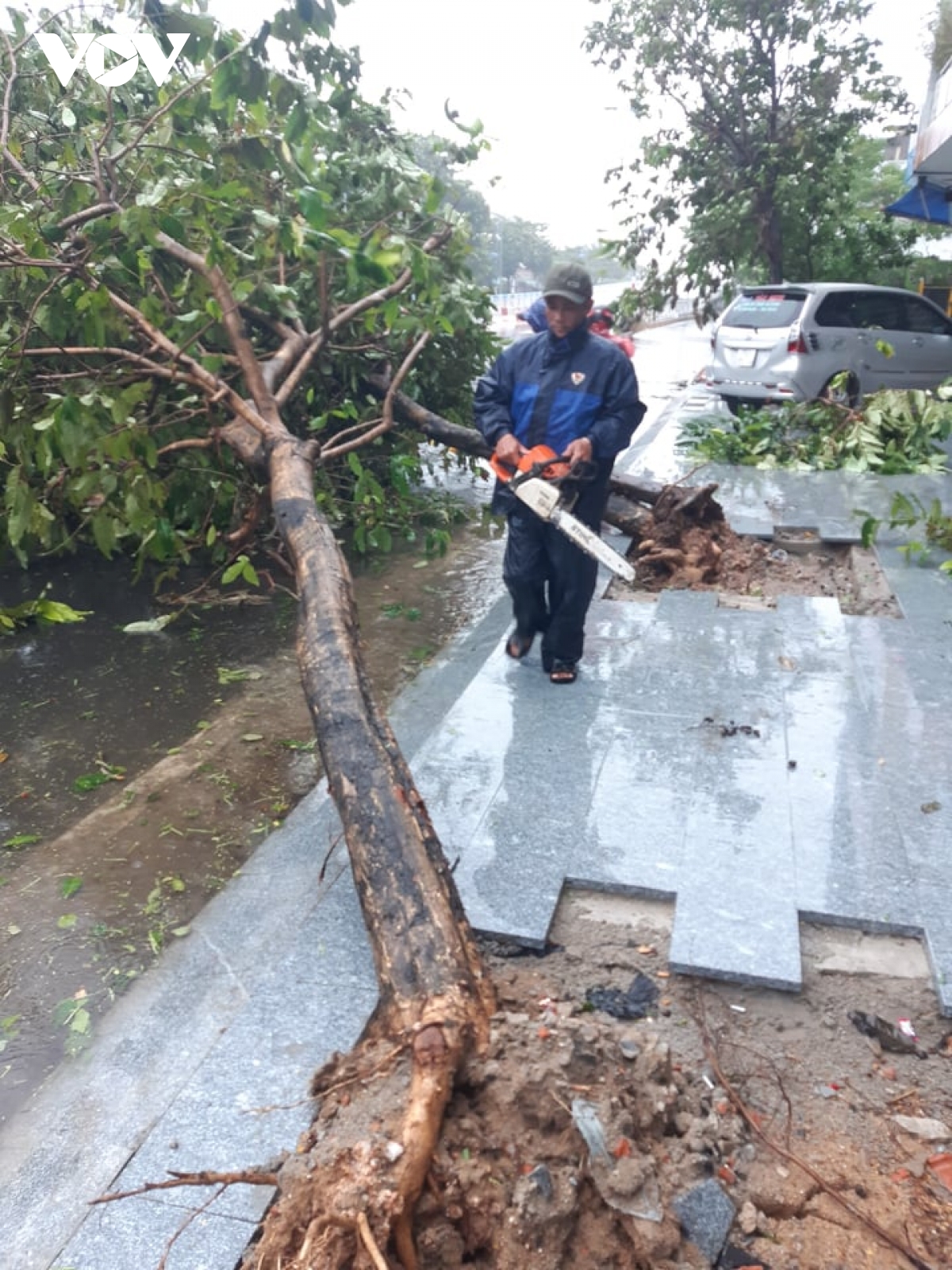 Bão số 12 đổ bộ vào Khánh Hòa, Phú Yên gây mưa lớn, nhiều cây xanh gãy đổ