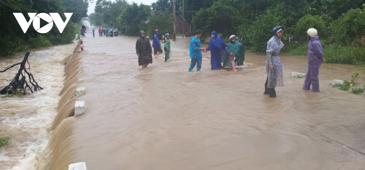 Bão số 12 đổ bộ vào Khánh Hòa, Phú Yên gây mưa lớn, nhiều cây xanh gãy đổ