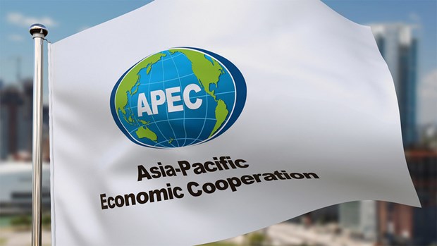 APEC tao xung luc cho phuc hoi hau dai dich COVID-19 hinh anh 2