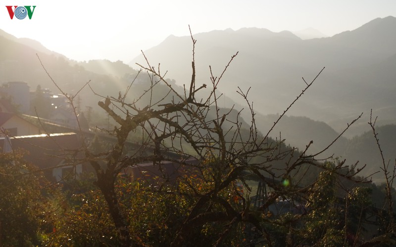 sapa du ngon ngang cong trinh nhung van dep nao long du khach