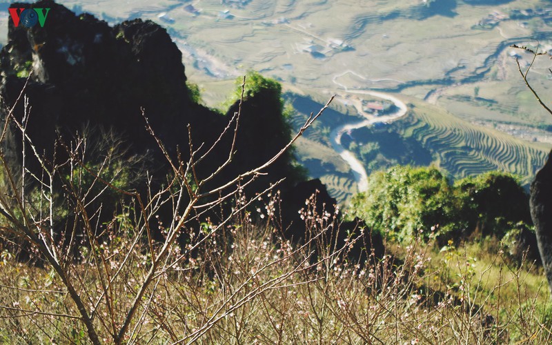 sapa du ngon ngang cong trinh nhung van dep nao long du khach