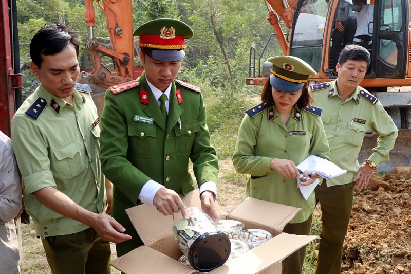 dua vao tam ngam hang tram tu diem noi com ve hang gia