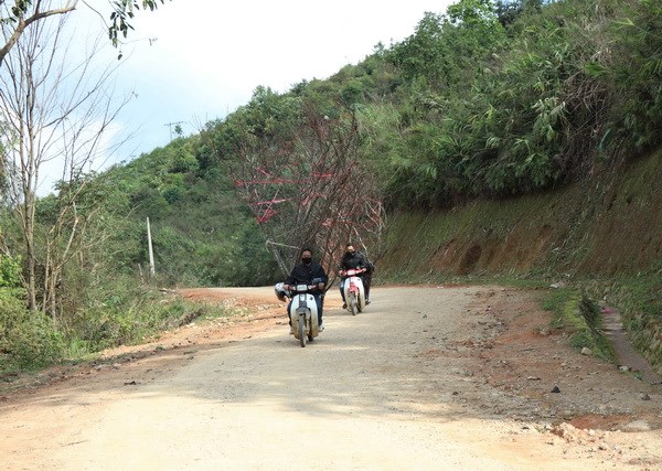 dao rung reo cao dien bien nhon nhip xuong pho don tet