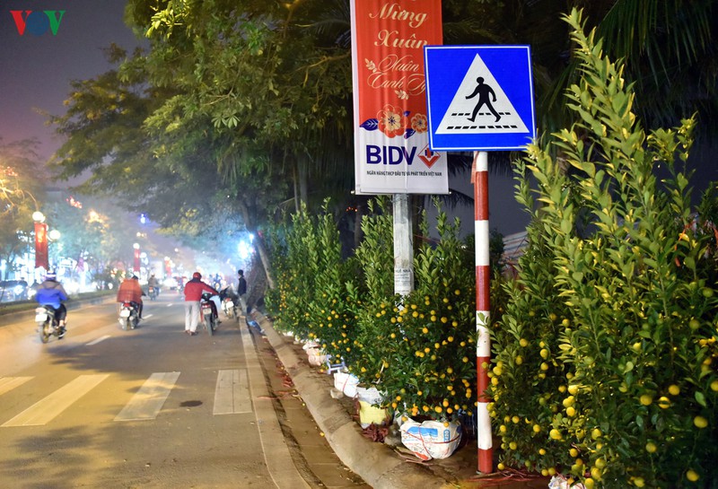 nhoc nhan ban dao quat muu sinh trong dem dong ha noi