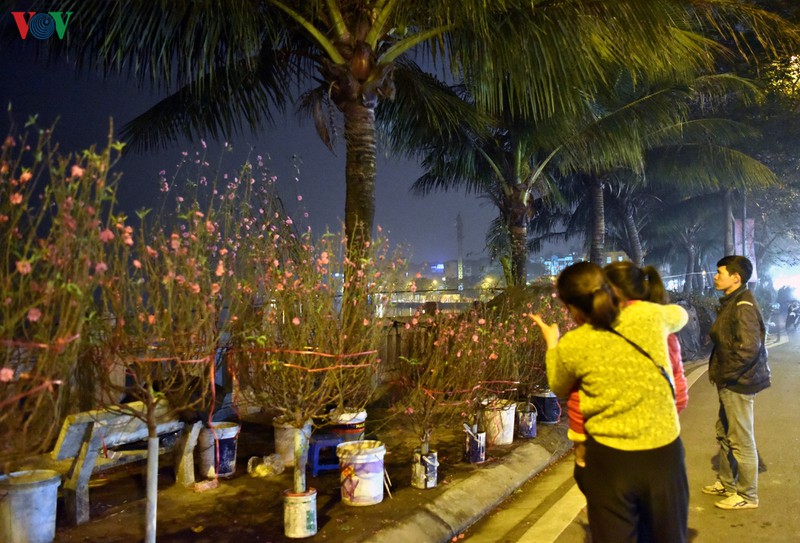 nhoc nhan ban dao quat muu sinh trong dem dong ha noi