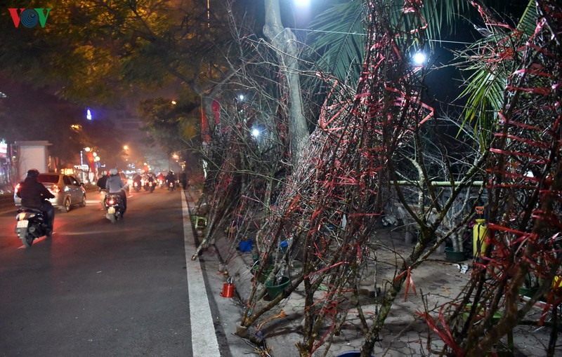 nhoc nhan ban dao quat muu sinh trong dem dong ha noi