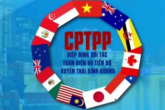 bao hai quan chu tri to chuc toa dam ve cac chinh sach thuc hien cptpp