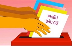 Rà soát, cập nhật danh sách và phát thẻ cử tri trong điều kiện phòng, chống dịch COVID-19