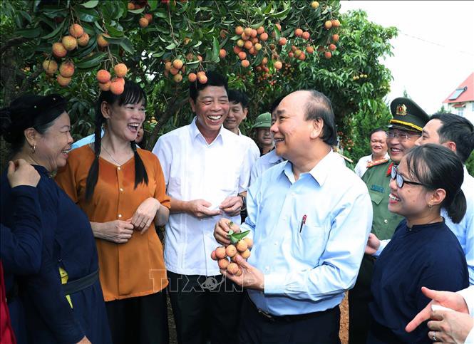 thu tuong du le xuat khau vai thieu sang cac thi truong lon