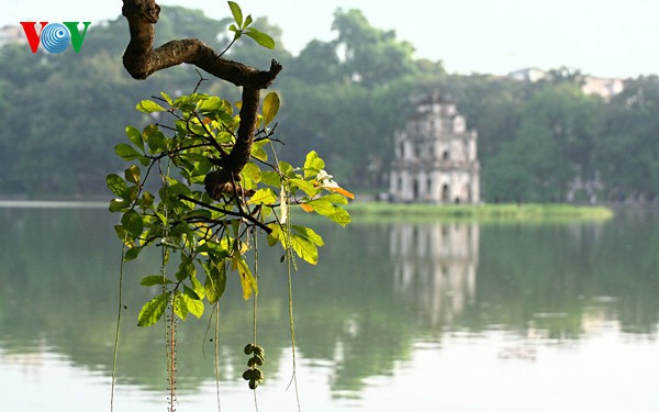 khong khi lanh dau mua khien thoi tiet mua thu ha noi rat tuyet voi