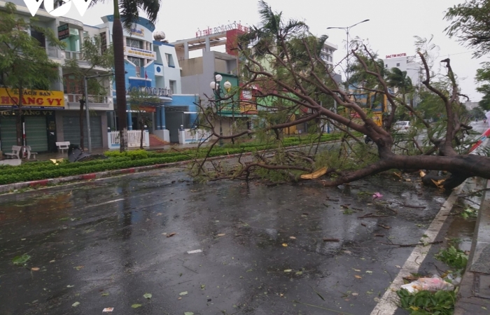 Bão số 9 đổ bộ: Nhiều nhà dân bị gió giật tốc mái, cây đổ ngổn ngang