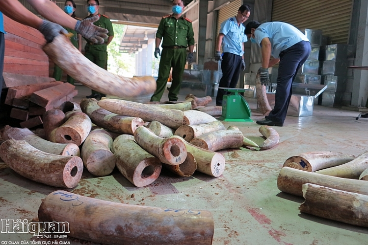 doanh nghiep nao dung ten tren lo go giau hon 91 tan nga voi tai cang da nang