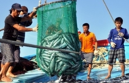 EU thay đổi mẫu Giấy chứng nhận kiểm dịch động vật dưới nước nhập khẩu