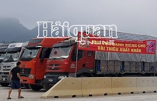 Tạo điều kiện và thông quan ngay trong ngày đối với nông sản xuất khẩu